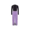 Pantalon De Ski Enfant The North Face Snowquest Suspender Bellflower Purple