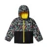 Veste De Ski The North Face Todd Snowquest Black Animal
