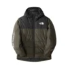 Veste The North Face B Never Stop Jacket New Taupe Green