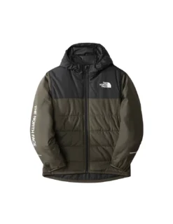 Veste The North Face B Never Stop Jacket New Taupe Green