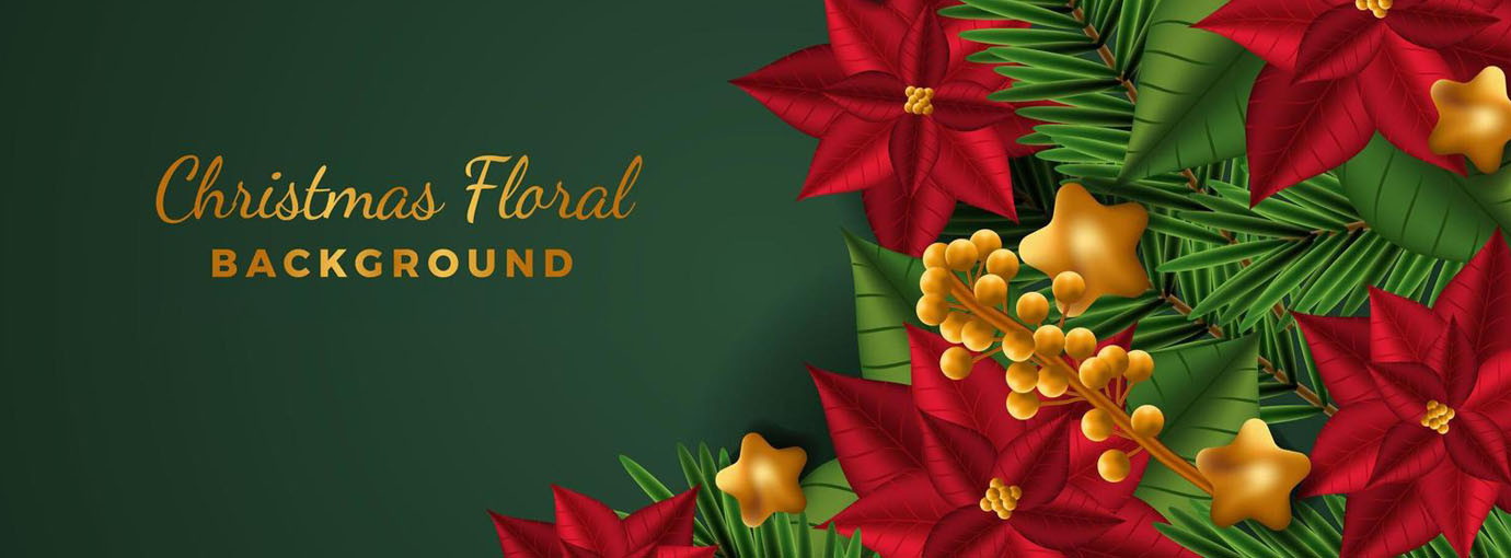 Hiver Vêtements Magasin -Hiver Vêtements Magasin 120